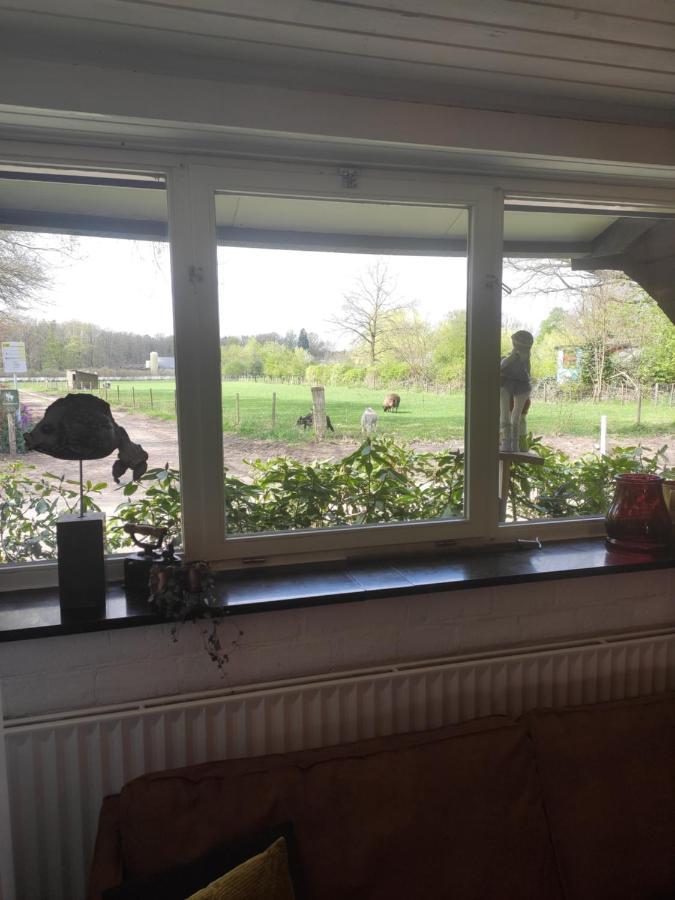 Bergerhof De Stal Lejlighed Sevenum Eksteriør billede