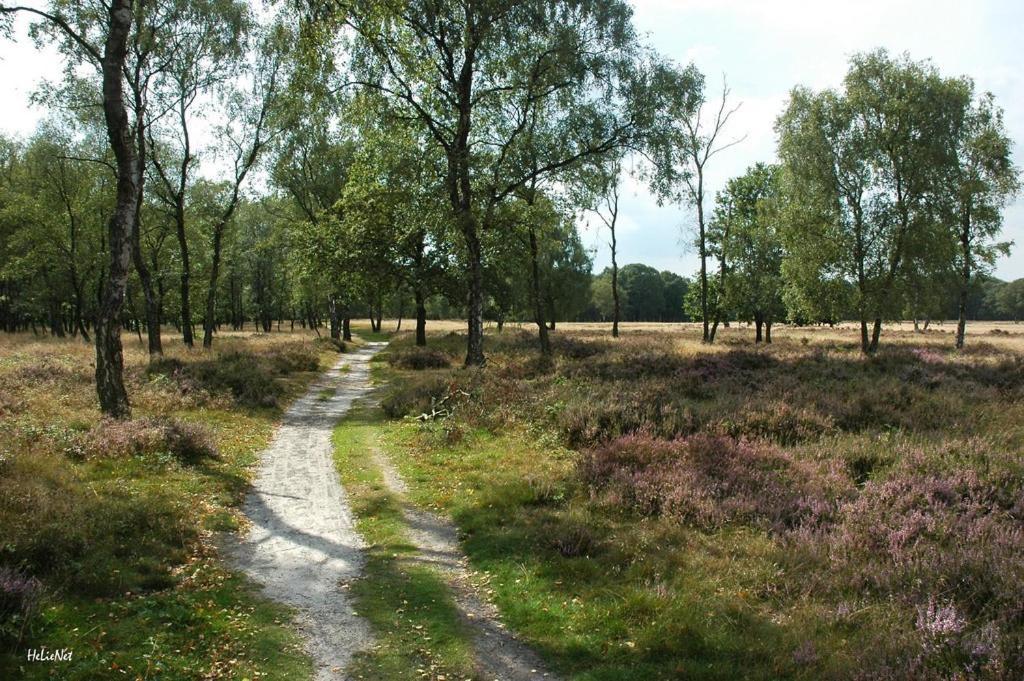 Bergerhof De Stal Lejlighed Sevenum Eksteriør billede