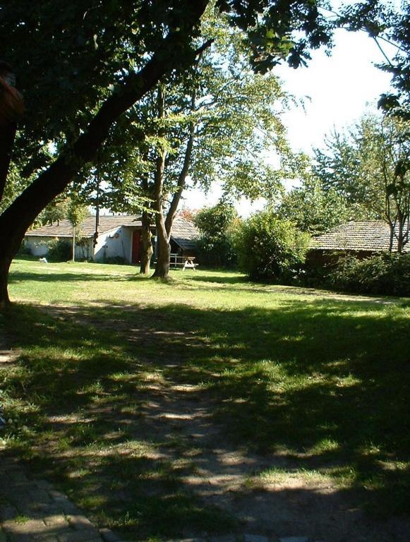 Bergerhof De Stal Lejlighed Sevenum Eksteriør billede